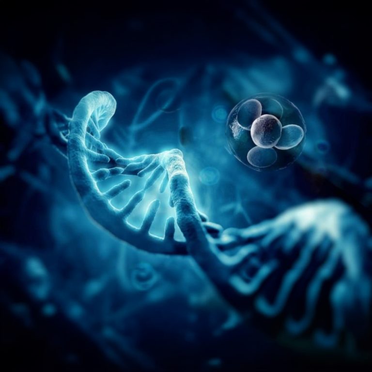Regenerative Medicine